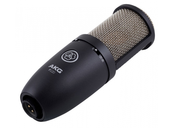 akg-p220_5af94ec5011de.jpg