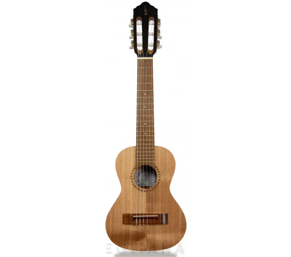 apc-guitalele-gs-simples_603781ef34cbc.webp