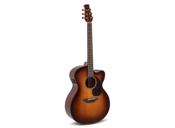Applause   Wood Classics AEJ96-1 Jumbo Cut Electro