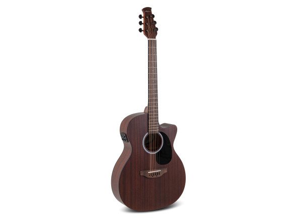 Applause   Wood Classics AEO96-M Orchestra Model Electro