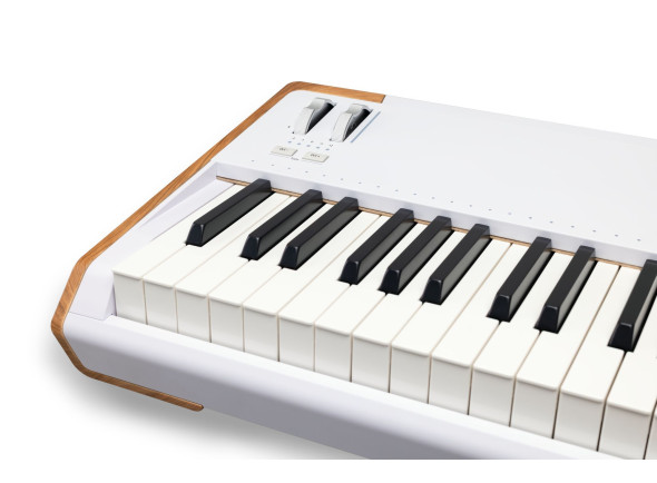 arturia-astrolab-88_68c296b1db64a.jpg