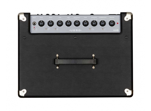 blackstar-unity-250-bass-combo_5be5ad6a9283b.jpg