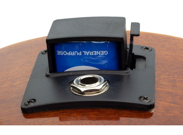 Brunswick  TBJBA Acoustic Bass Natural