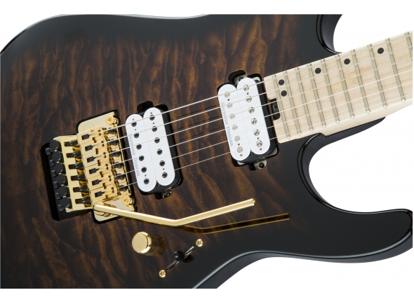 charvel-pro-mod-dk24-hh-fr-mpl-rbb_5cd97b908a20a.jpg