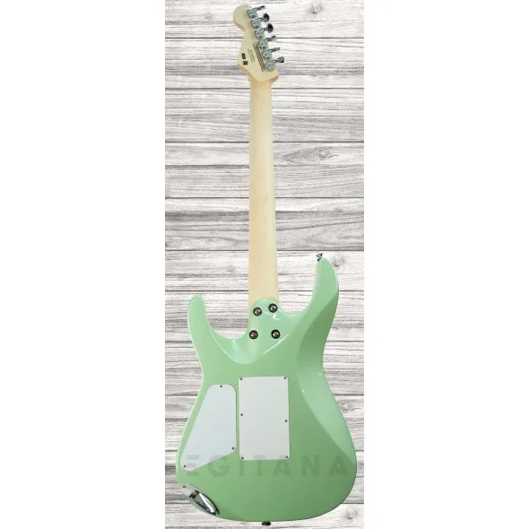 charvel-pro-mod-dk24-hss-fr-specocean_5ef0c2974b35b.webp