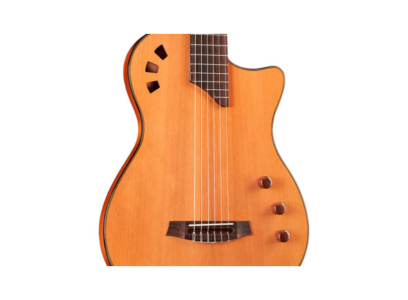 Cordoba Stage Guitar Traditional CD