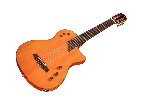 Cordoba Stage Guitar Traditional CD
