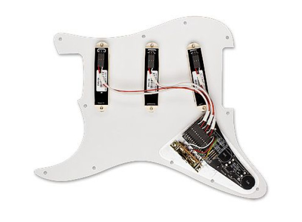 emg-dg20-kit-pickguard-david-gilmour_66eaa06b23694.jpg