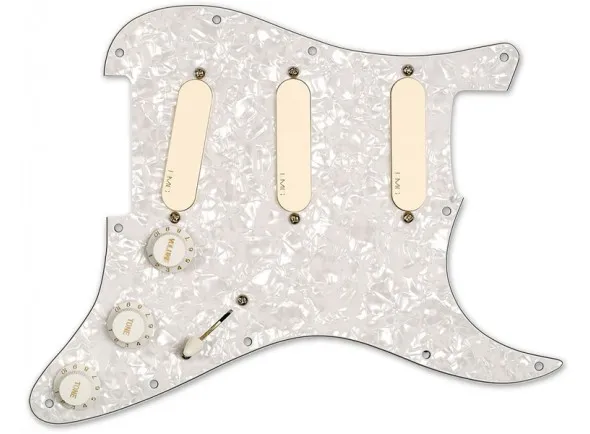 emg-dg20-kit-pickguard_5eda5cc9af16c.webp