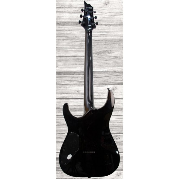 esp-h-1001-stblk_5f297d5faeb8c.jpg