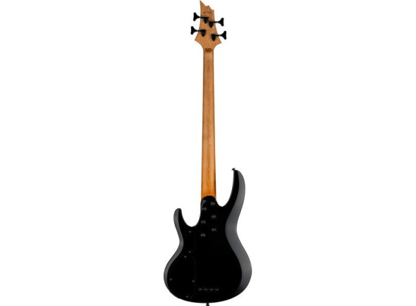 esp-ltd-b-204dx-rb_69f89a8252e03.jpg