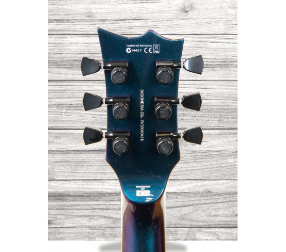 esp-ltd-ec-1000-vland_60929ff2af548.jpg