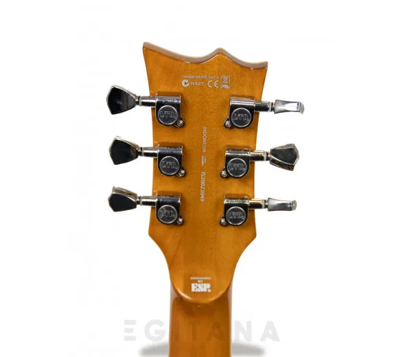 esp-ltd-ec-256-vn_604b3d66b6d62.webp