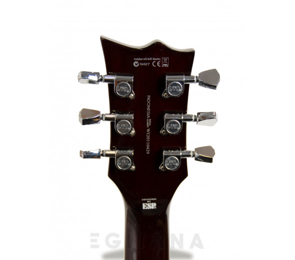 esp-ltd-ec-256fm-dbsb_604bb30a17c84.jpg