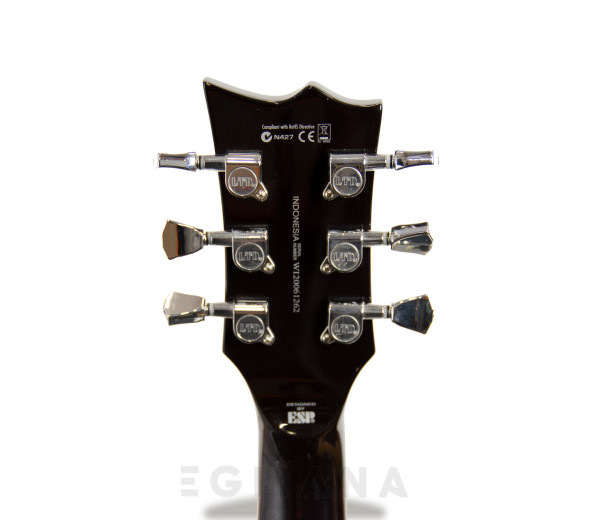 esp-ltd-ec-256fm-stpsb_604bb33976ec8.jpg