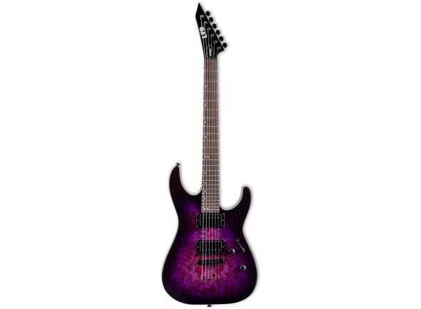 esp-ltd-m-200dx-nt-pb_66fff67a1d337.jpg