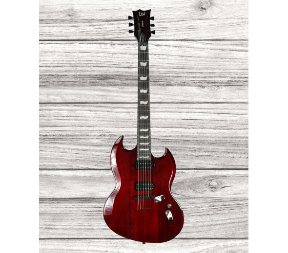 esp-ltd-viper-1000-black-cherry_6421b38b44202.jpg