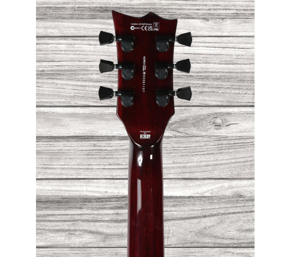 esp-ltd-viper-1000-black-cherry_6421b38c490aa.jpg