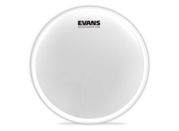 Evans 13 Evans 13