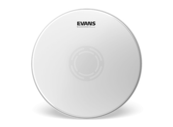 Evans 14 Evans 14