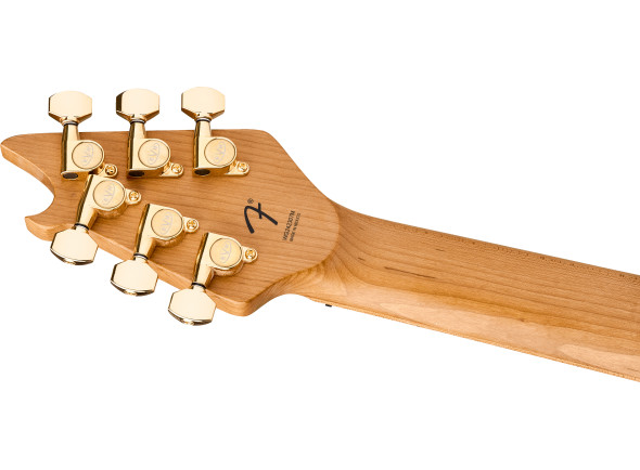 EVH  Wolfgang Special T.O.M OXB