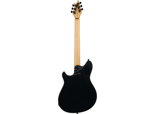 evh_69fb2ee98ac0b.jpg