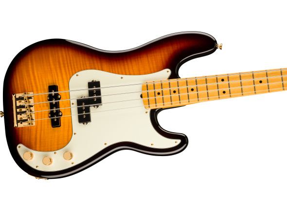 fender-75th-anniversary-american-professional-pj-bass-rosewood-fingerboard-2-color-sunburst_69a16881012be.jpg