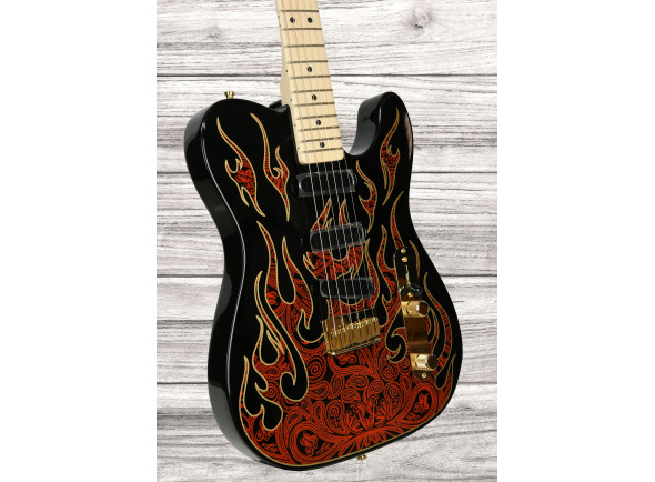 fender-american-james-burton-limited-edition-maple-fingerboard-red-paisley-flames_6908d0c8990f4.jpg