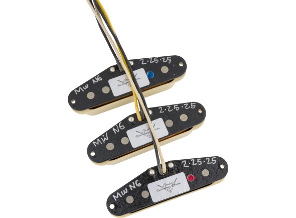 Fender Ancho Poblano Strat Set