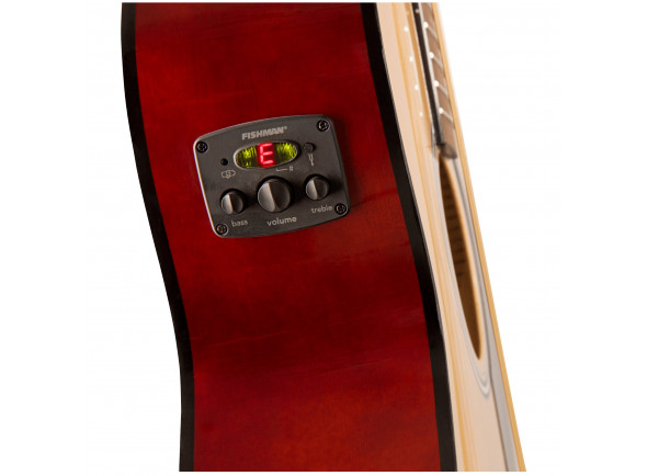 Fender  FA-135CE