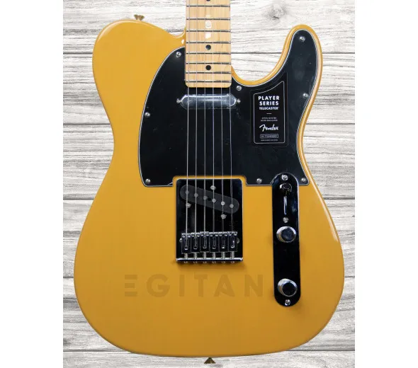 fender-player-series-tele-mn-btb_6093b81ca83bb.webp