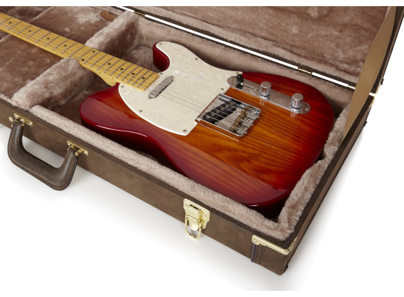 gator-deluxe-case-e-guitar-vintage_67d44a47011bb.jpg