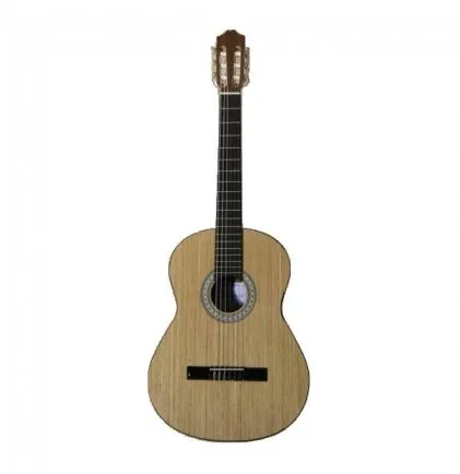 guitarra-apc-lusitana-gc200-cadete-vista-frontal_5.webp