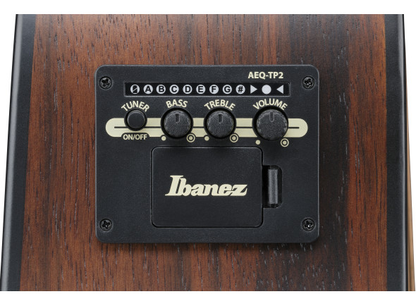 ibanez-aad70ce-tbn_698f5b0d6df73.jpg