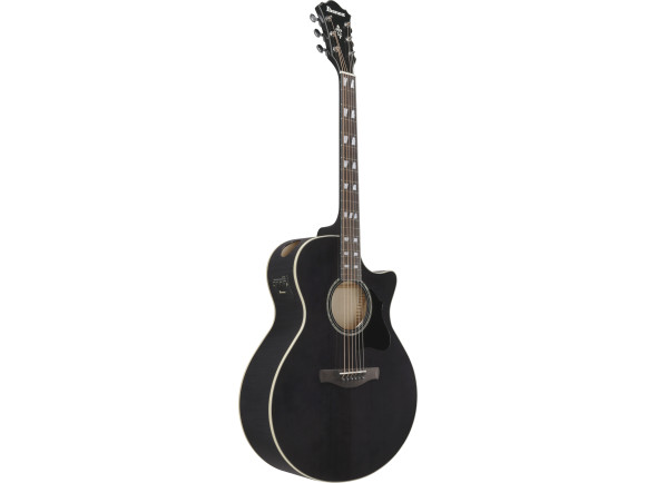 ibanez-ae170tbk-transparent-black_6978e515afd95.jpg