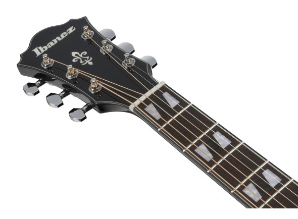ibanez-ae170tbk-transparent-black_6978e521dbefd.jpg