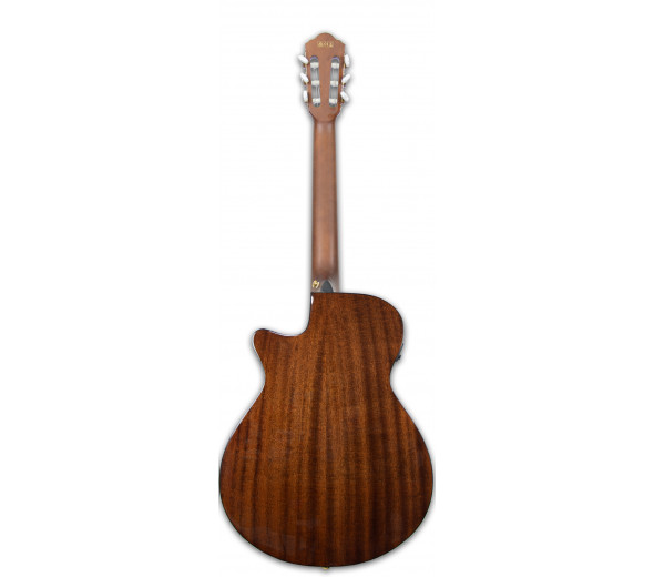 Ibanez AEG50N-NT Nylon