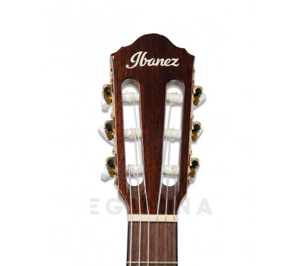 Ibanez AEG50N-NT Nylon