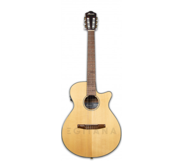 Ibanez AEG50N-NT Nylon