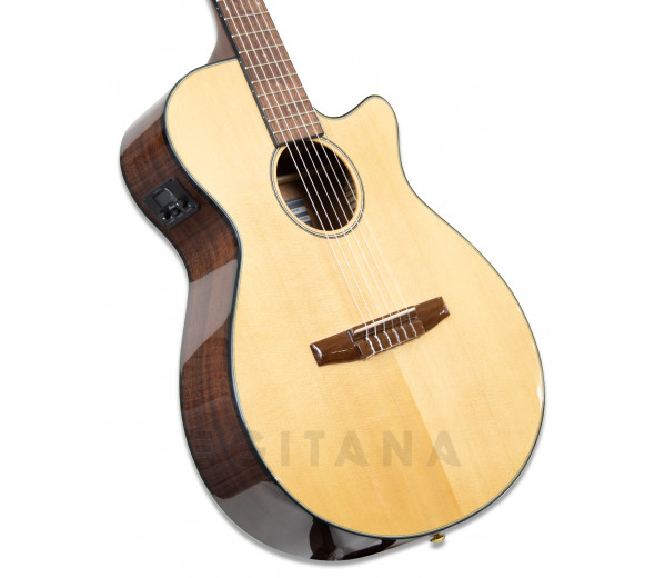 Ibanez AEG50N-NT Nylon