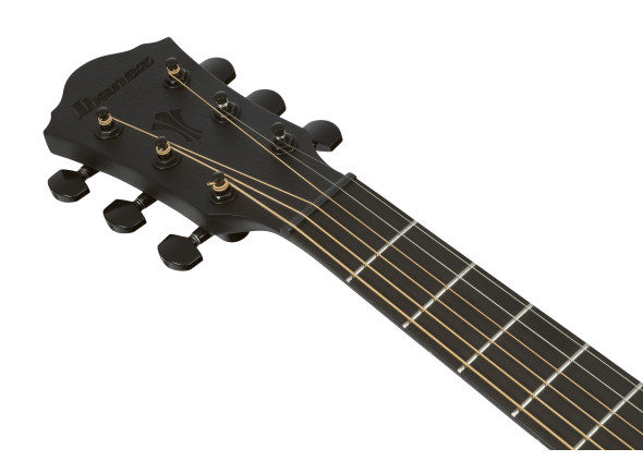 ibanez-aeg621bot-black-out_6978e68b8824b.jpg