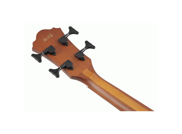 Ibanez  AEGB24E-MHS