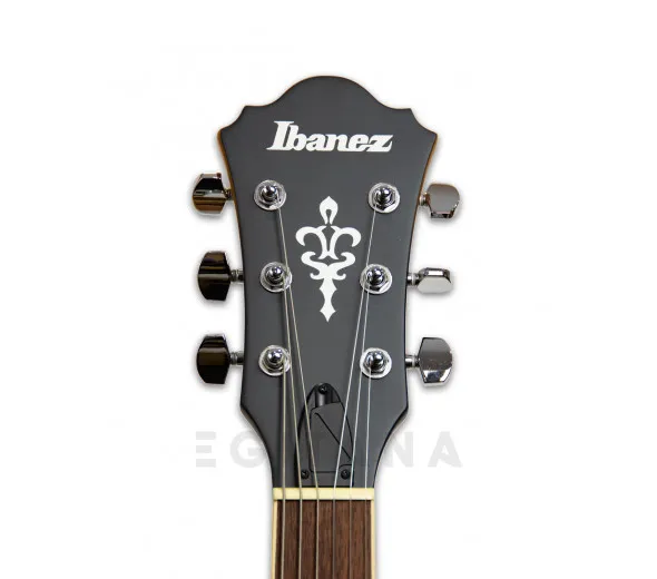 ibanez-af55-tf_5ffc6ec0cc9bd.webp