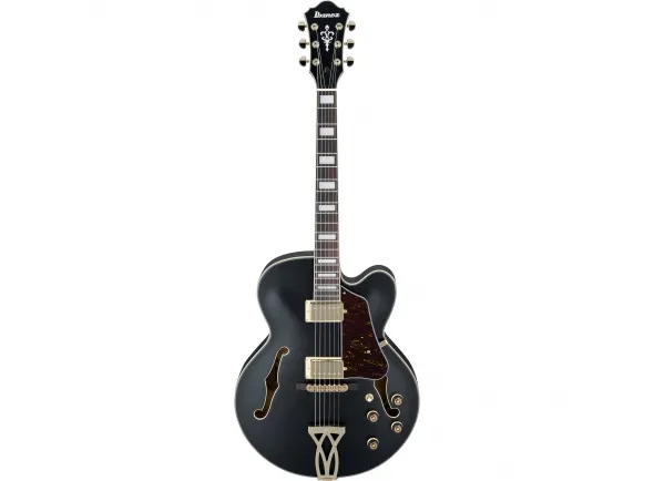 ibanez-af75g-bkf-artcore_5dcd261c8254b.webp