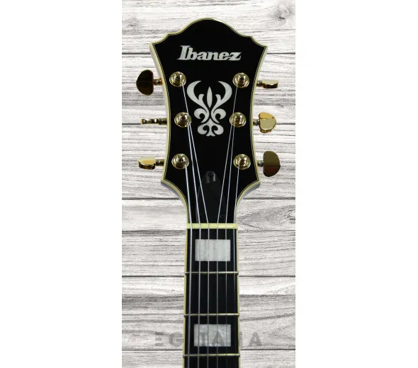 ibanez-af95-bs_61162e76a68a9.webp