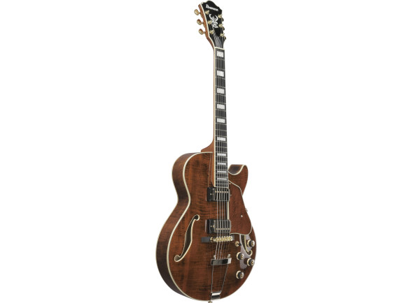 ibanez-ag95mg-artcore-expressionist-dark-amber_6978e728900fa.jpg