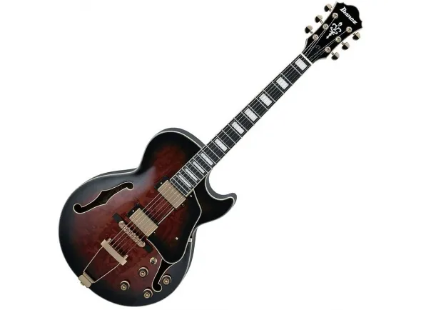 ibanez-ag95qa-dbs_5e429a371d3de.webp