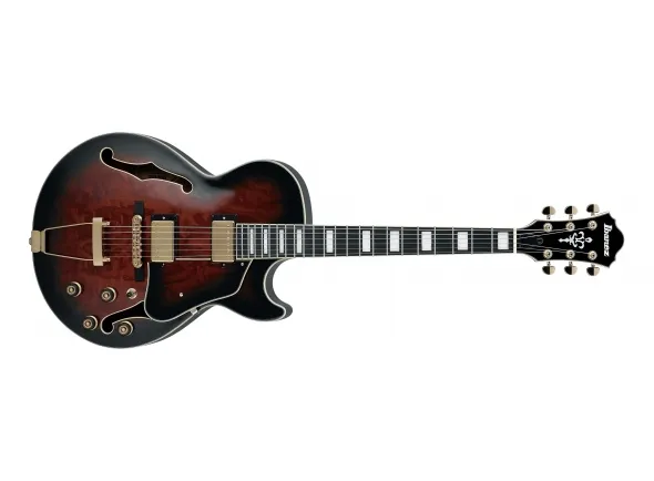 ibanez-ag95qa-dbs_5e429a3784eeb.webp