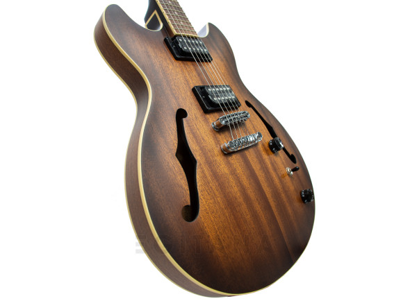 ibanez-as53-tf_63444c5dc51cf.jpg