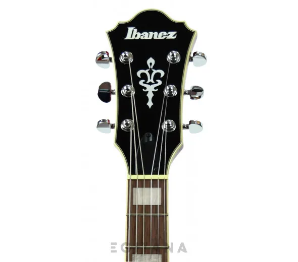 ibanez-as73-tcd_6139d901606ba.webp